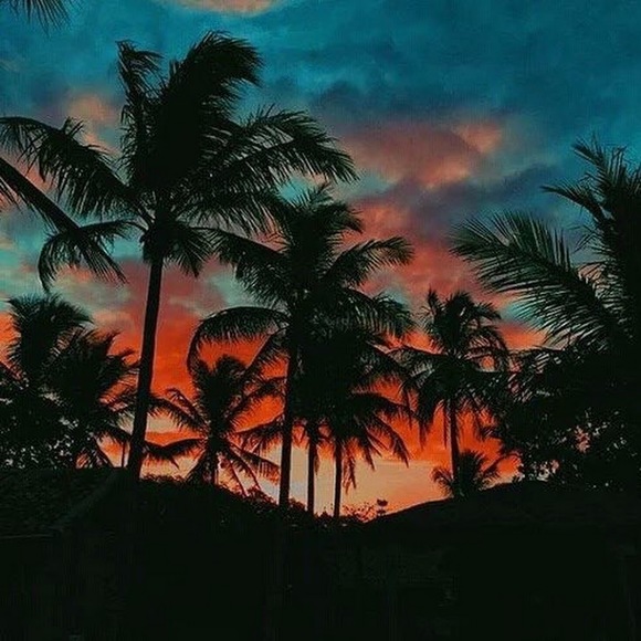 Meet your Posher, Jocelyn - Picture 1 of 1